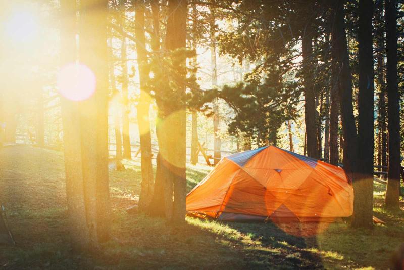 Tent in a forest during sunset